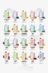 VOZOL VISTA 40K PUFFS | ڤوزول فيستا ٤٠٠٠٠ نفس