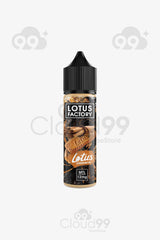 LOTUS FACTORY - LOTUS cinnamon